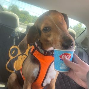 Meet your Posher, Alexis